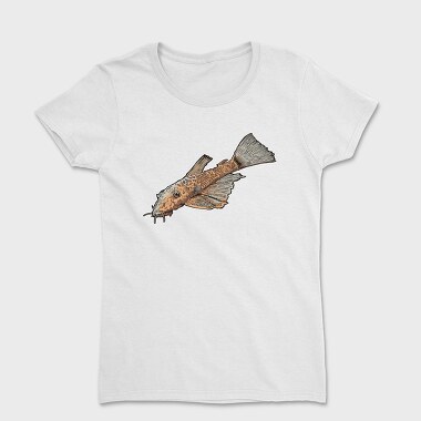 Antenna Catfish, Women's T-Shirt