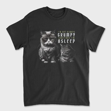 Cat Grumpy Asleep, Unisex Men's T-Shirt