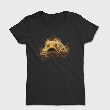 Women's T-Shirt, Hairyfish