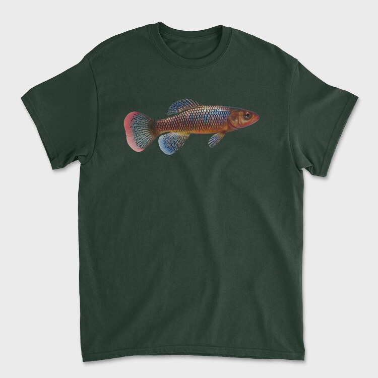 Killifish, Unisex Men's T-Shirt