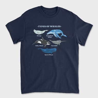 Types of Whales, Unisex Men's T-Shirt