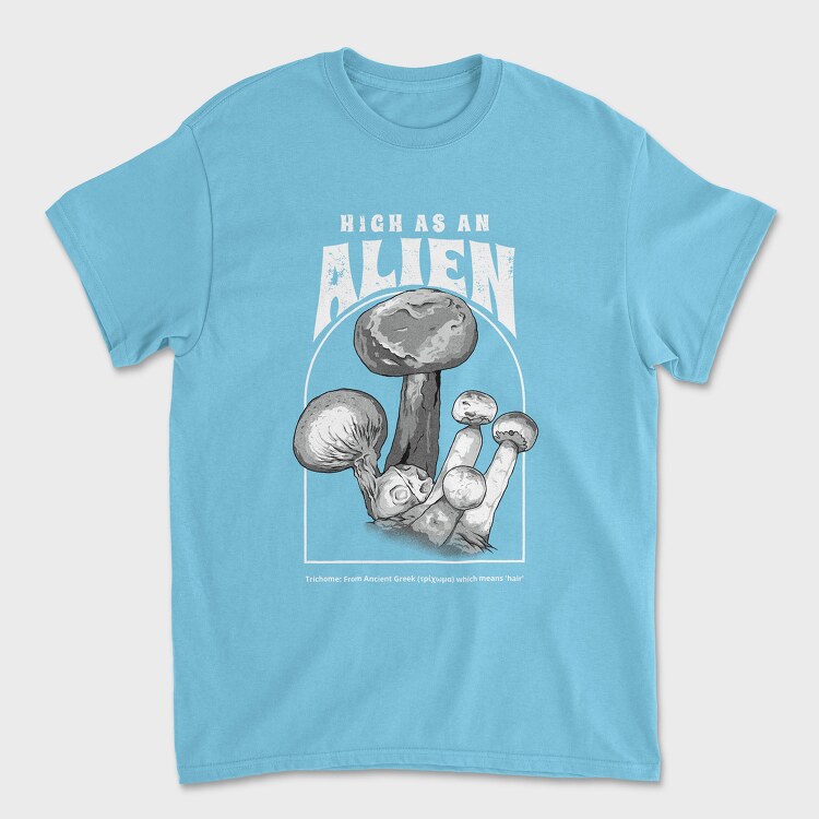 Crow Gold Crown, Unisex Men's T-Shirt