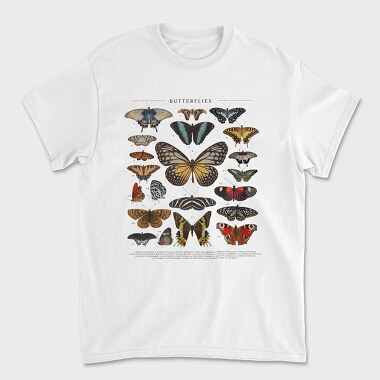 Butterflies Catalog, Unisex Men's T-Shirt